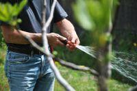 Mike`s Dienstleistung Hausmeister rund ums Haus aus D&uuml;ren &uuml;bernimmt das Rasensprengen und eine professionelle Gartenpflege